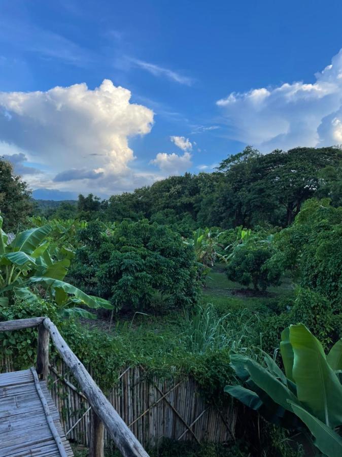 Chiang Dao Hostel Ngoại thất bức ảnh