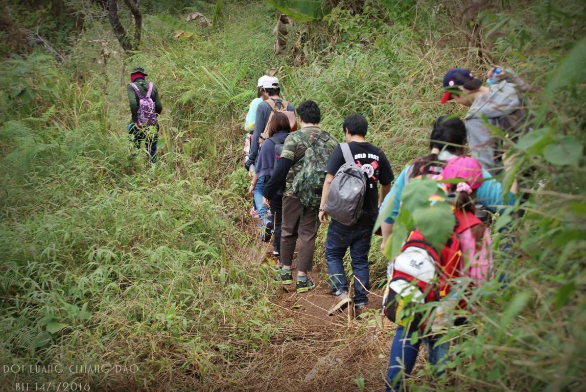 Chiang Dao Hostel Ngoại thất bức ảnh