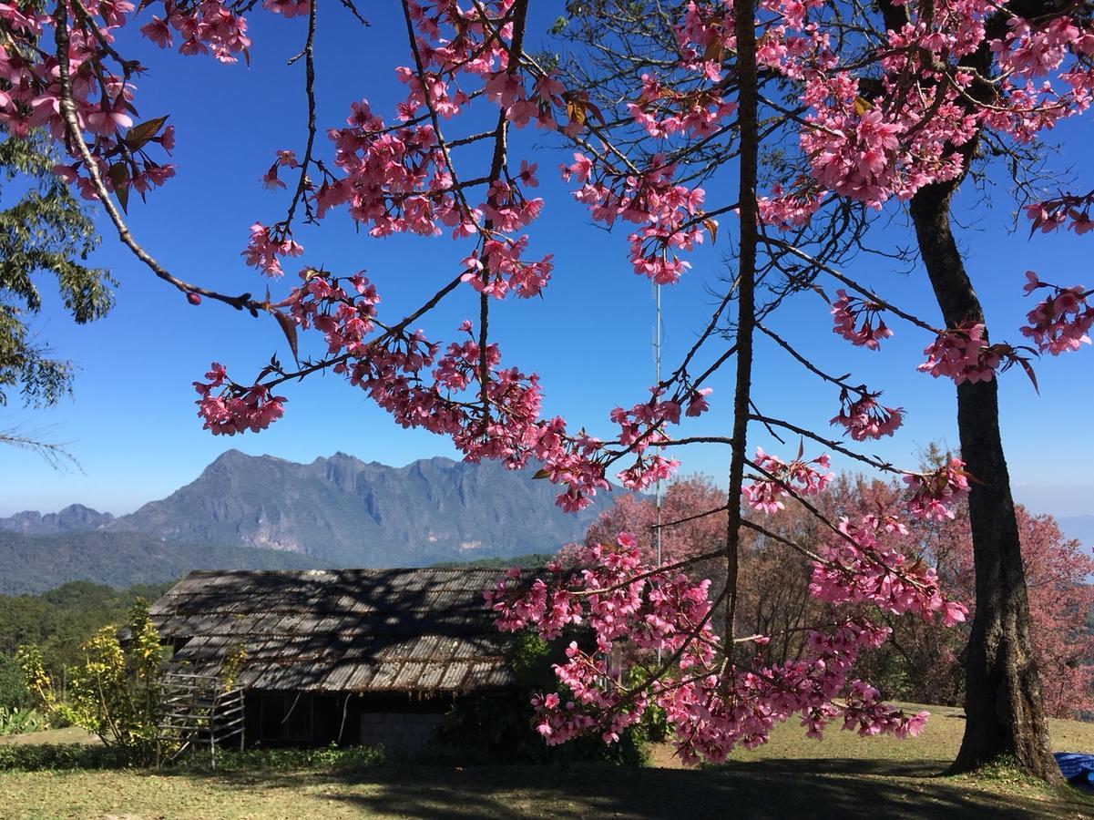 Chiang Dao Hostel Ngoại thất bức ảnh