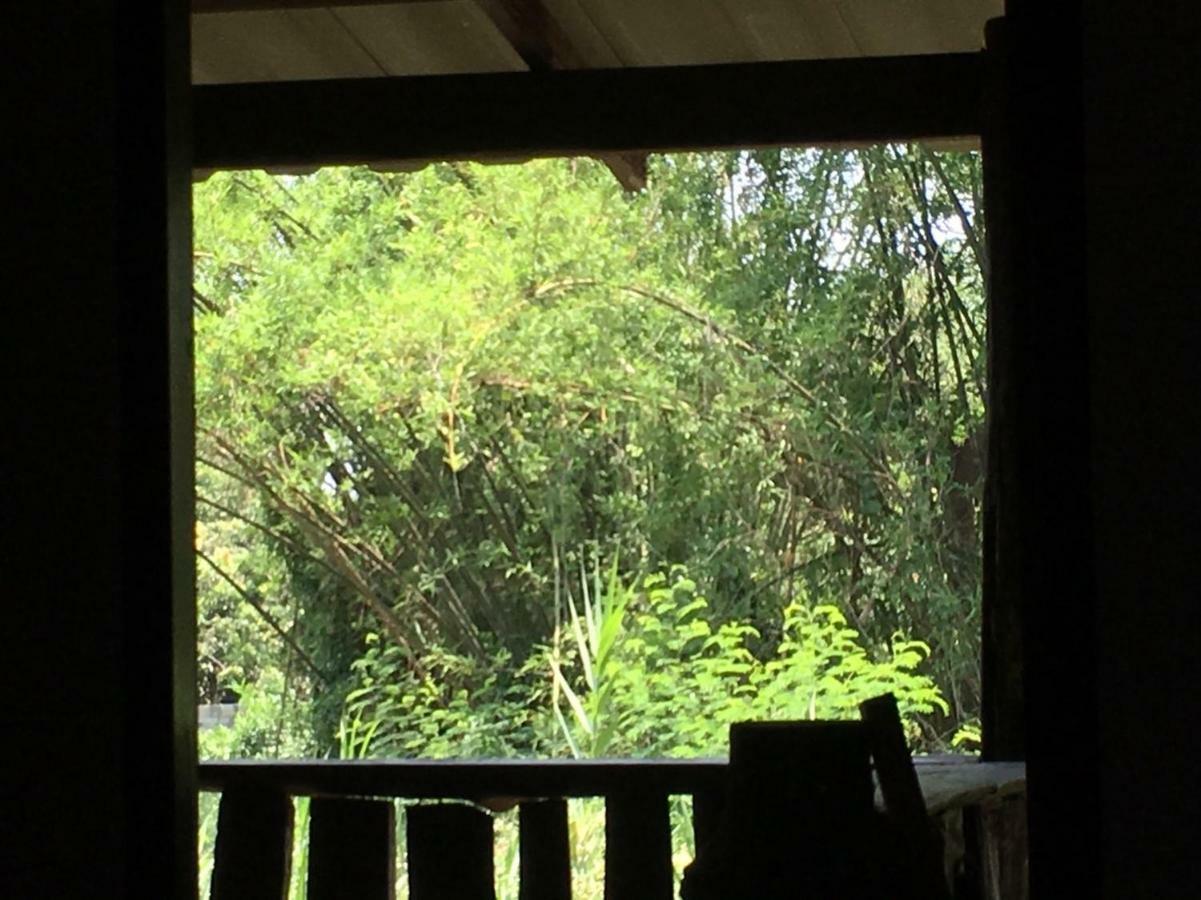 Chiang Dao Hostel Ngoại thất bức ảnh